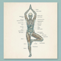 200 hryttc in rishikesh