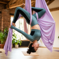 aerial yoga course in rishikesh